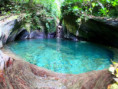 /album/fotogaleria-karibik-island-hopping-zajazd-vy-a-my/trinidad-a-tobago-jamajkanita-67-jpg/